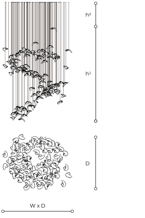 Scheda tecnica 