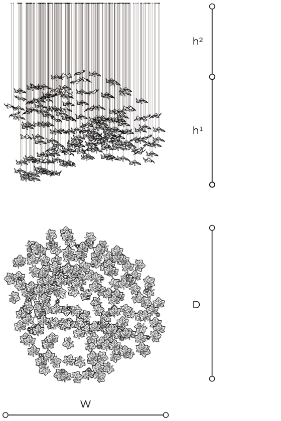 Scheda tecnica 