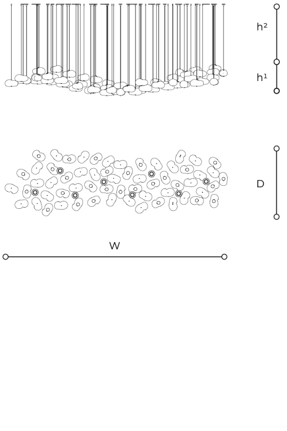 Scheda tecnica 