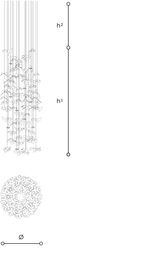 Scheda tecnica 