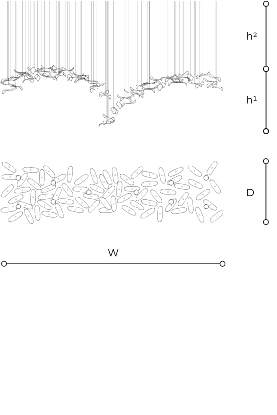 Scheda tecnica 