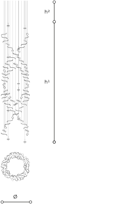 Scheda tecnica 