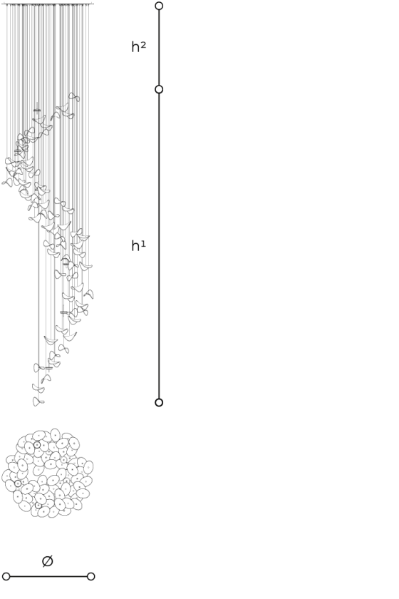 Scheda tecnica 