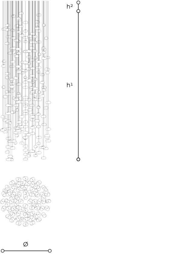 Scheda tecnica 