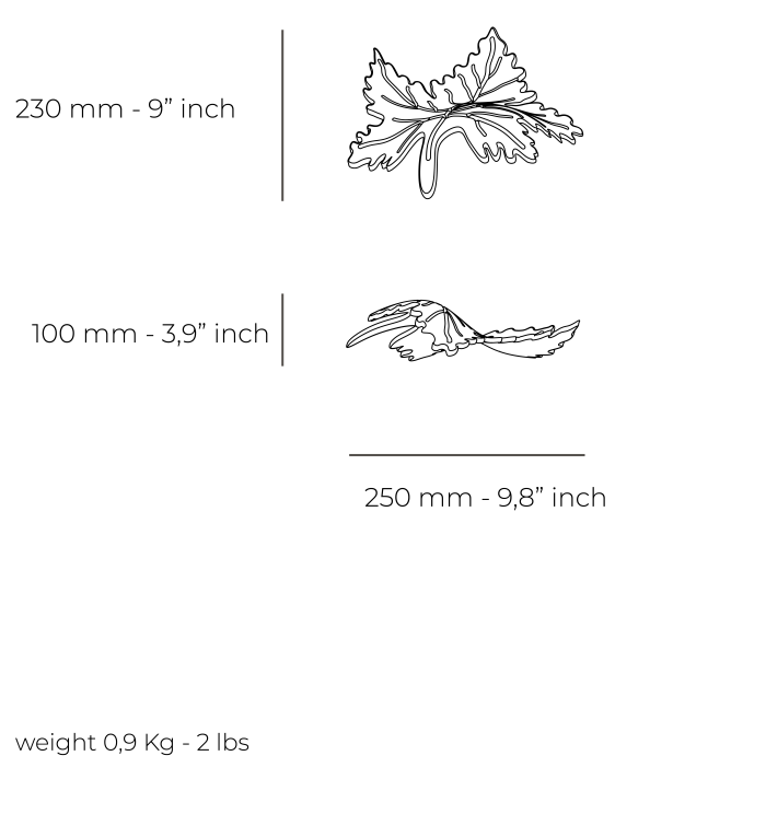 Scheda tecnica Lisia