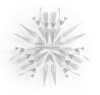 Flora