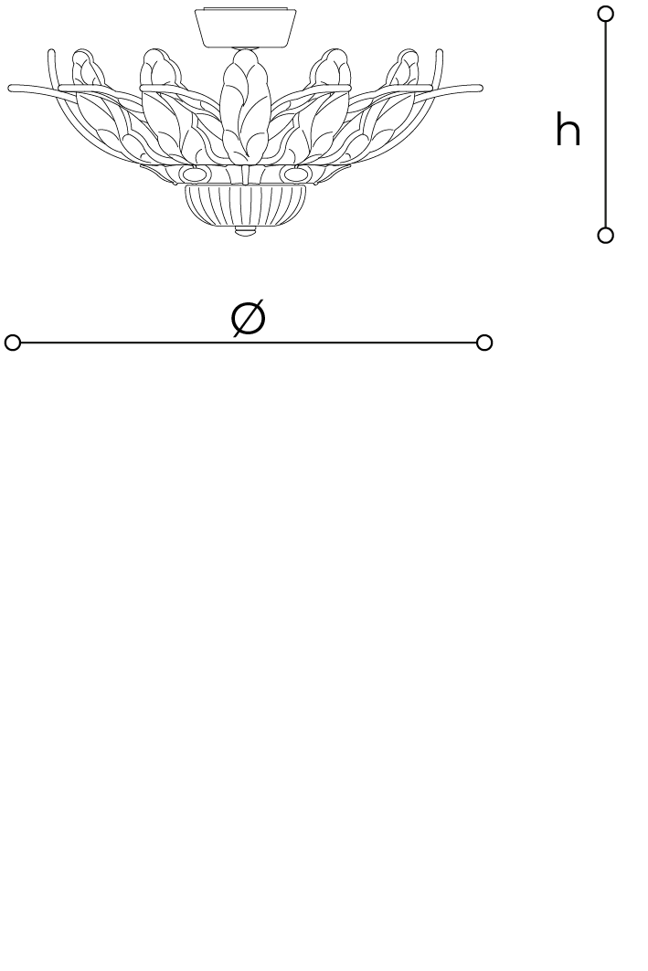 Scheda tecnica 50